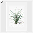 3-12_The-Lilies_picture