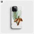 3-12_Treatise-on-Trees-and-Shrubs_phone
