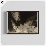 3-13_Alfred-Stieglitz_blk-crop