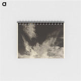 3-13_Alfred-Stieglitz_memo