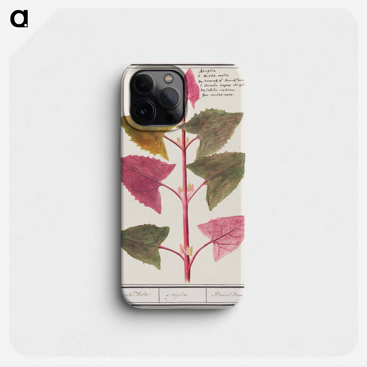 Garden mead - アンセルムス ボエティウス デ ブート Phone Case.