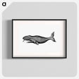 アートポスター-Whale from A Whaling Cruise to Baffin's Bay and the Gulf of Boothia and an Account of the Rescue of the Crew of the "Polaris"
 - 大英図書館 Poster.