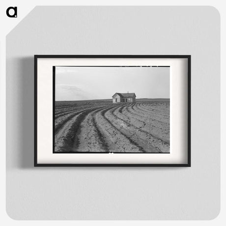 3-13_Dorothea-Lange_blk