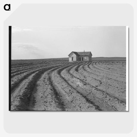 3-13_Dorothea-Lange_picture-crop