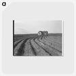 3-13_Dorothea-Lange_postcard