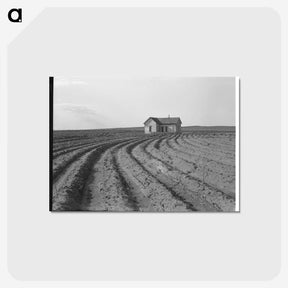 3-13_Dorothea-Lange_postcard