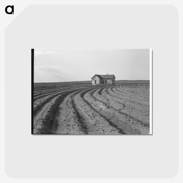 3-13_Dorothea-Lange_postcard