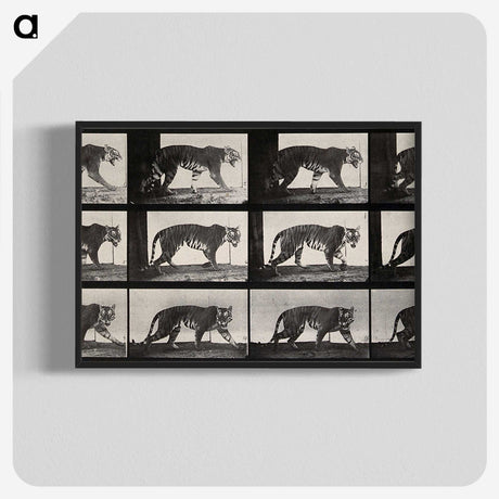 3-13_Eadweard-Muybridge_blk-crop