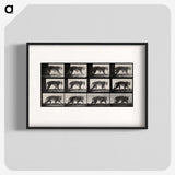 3-13_Eadweard-Muybridge_blk