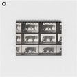 3-13_Eadweard-Muybridge_memo