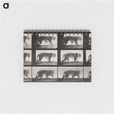 3-13_Eadweard-Muybridge_memo