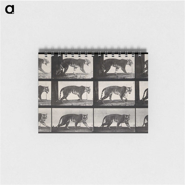 3-13_Eadweard-Muybridge_memo