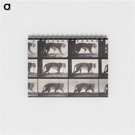 アートメモ帳-Tiger Walking
 - エドワード マイブリッジ Memo.