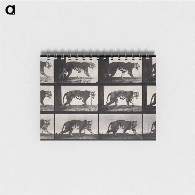 アートメモ帳-Tiger Walking
 - エドワード マイブリッジ Memo.