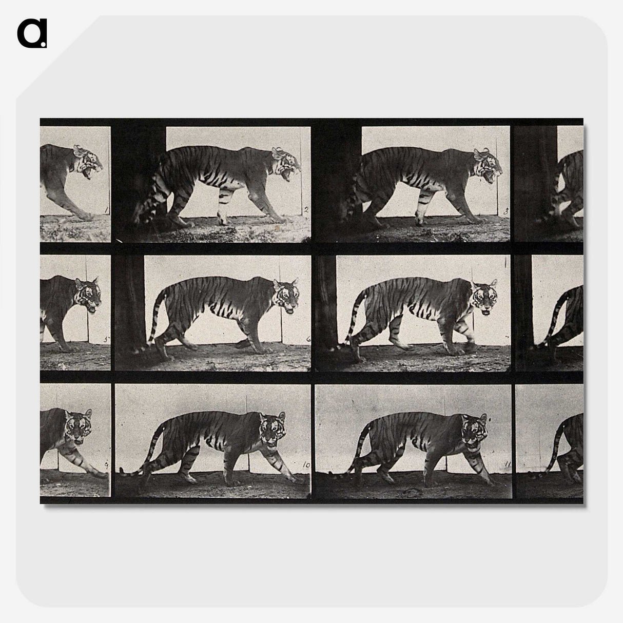 3-13_Eadweard-Muybridge_picture-crop