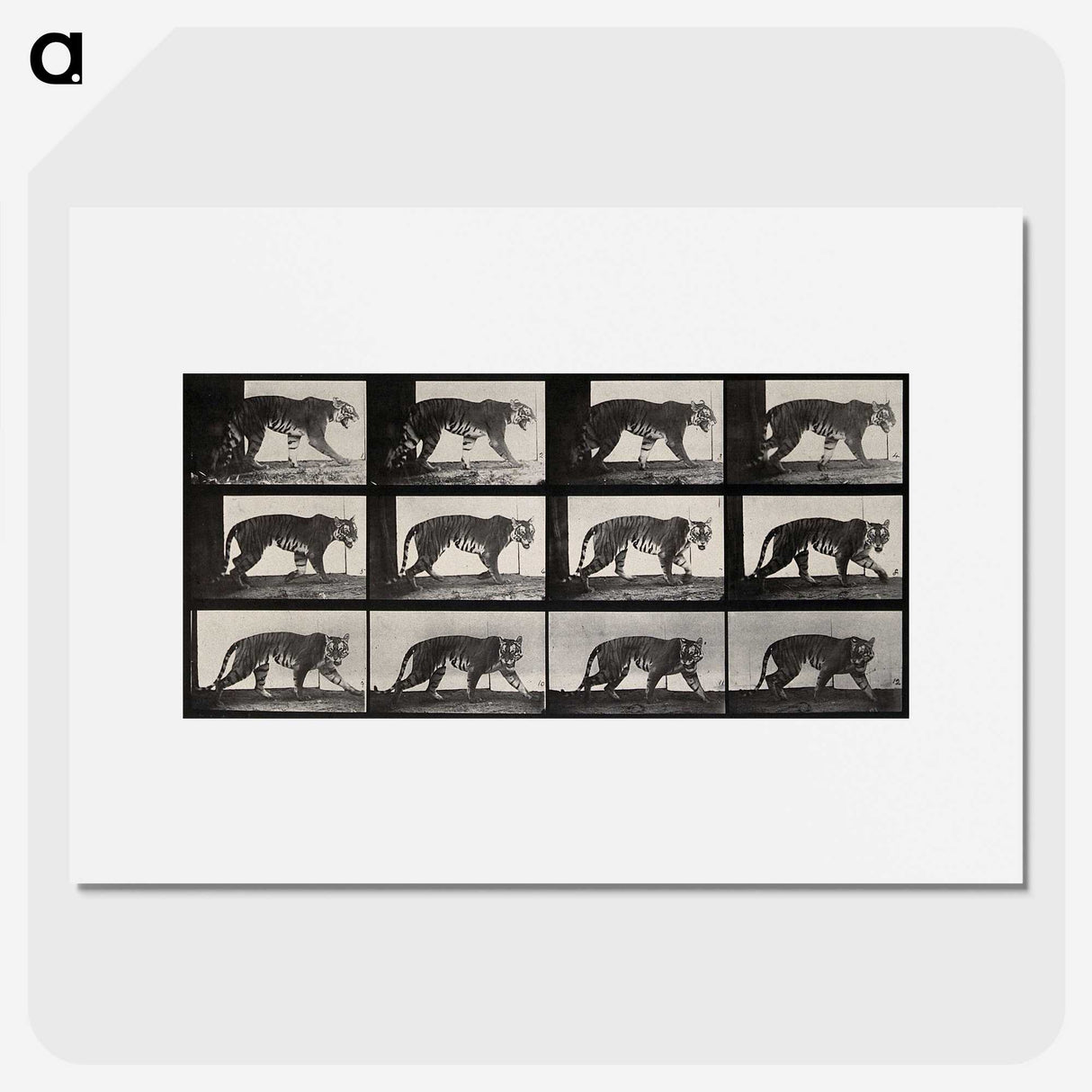 3-13_Eadweard-Muybridge_picture
