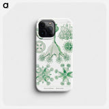 Stauromedusae–Becherquallen - エルンスト ヘッケル Phone Case.