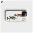 3-13_Ichtyologie-ou-Histoire-naturelle_phone