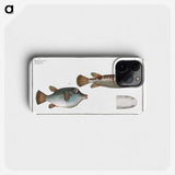 3-13_Ichtyologie-ou-Histoire-naturelle_phone
