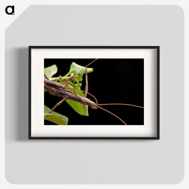 3-13_Insects-Unlocked-Project_blk