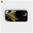 3-13_Insects-Unlocked-Project_phone