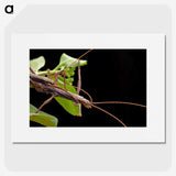 3-13_Insects-Unlocked-Project_picture