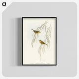 3-13_John-Gould_blk-crop