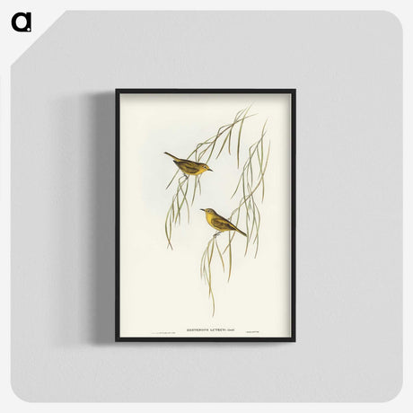3-13_John-Gould_blk-crop