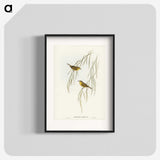 3-13_John-Gould_blk