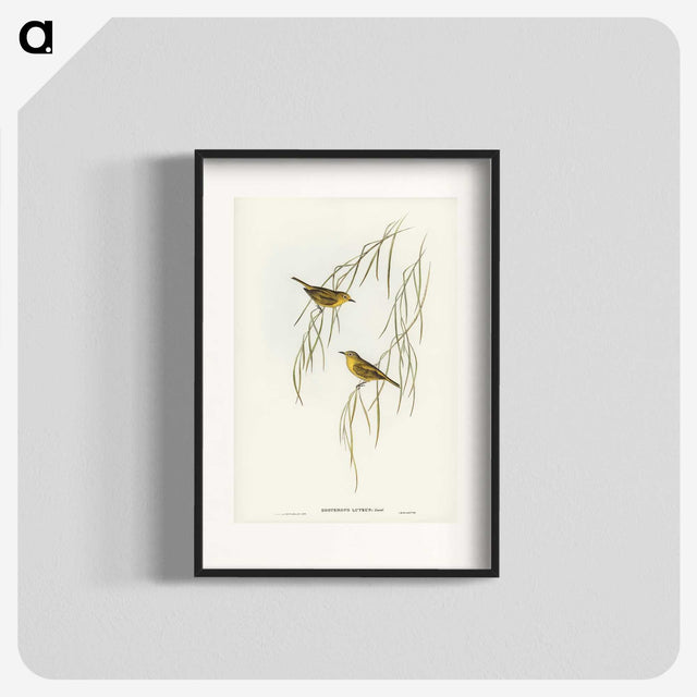 3-13_John-Gould_blk