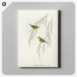 3-13_John-Gould_canvas