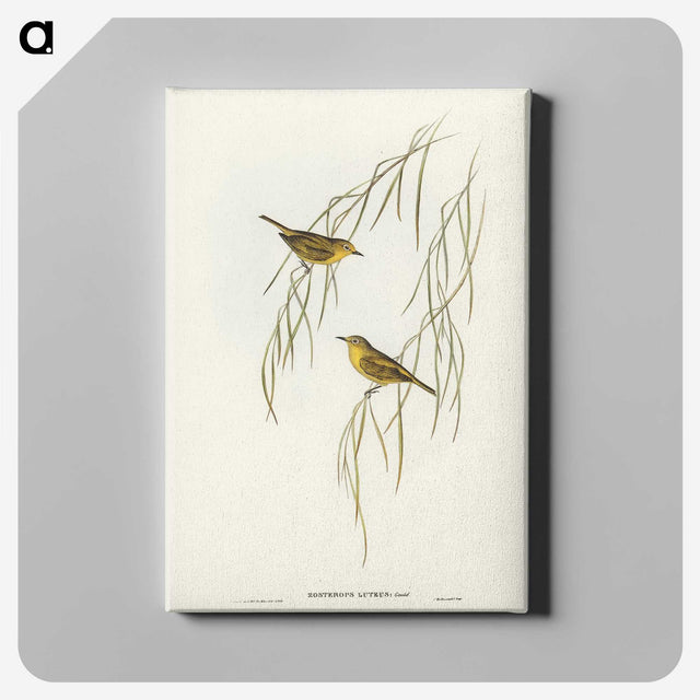 3-13_John-Gould_canvas