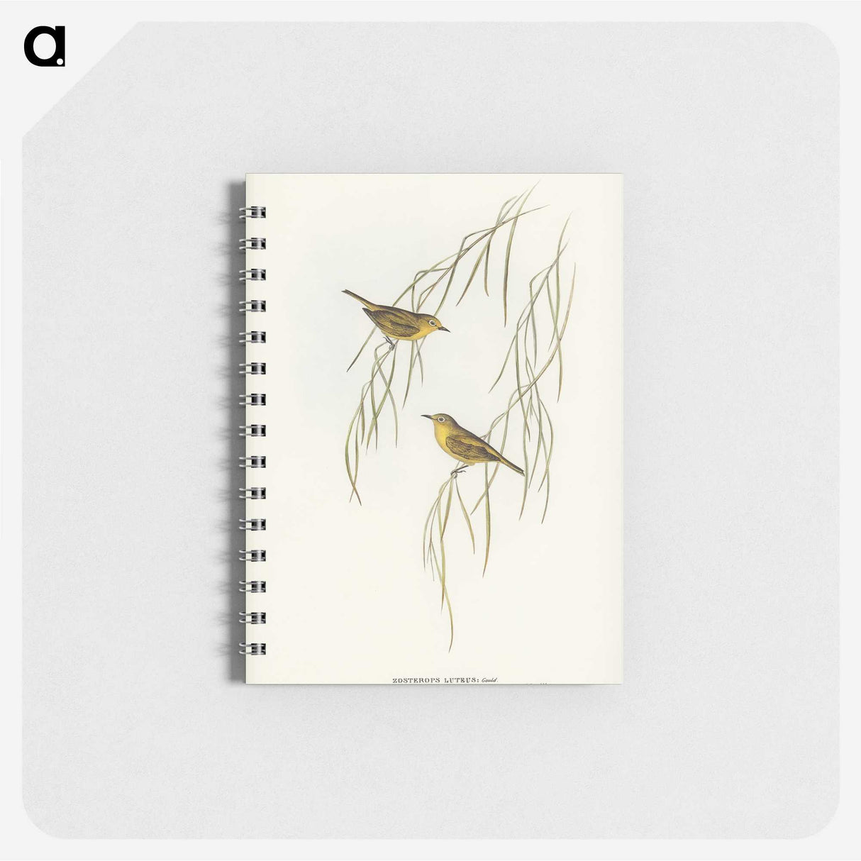 3-13_John-Gould_memo