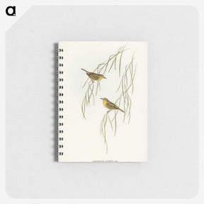 3-13_John-Gould_memo