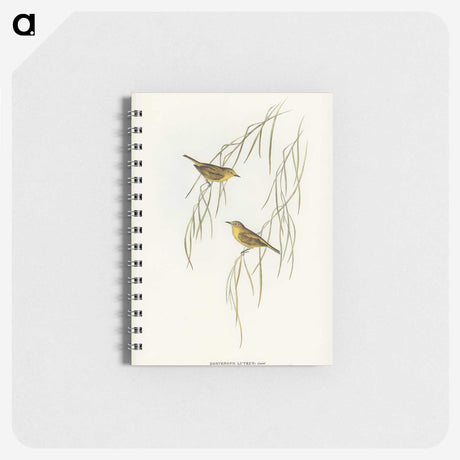 3-13_John-Gould_memo
