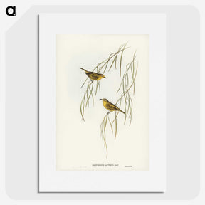 3-13_John-Gould_picture