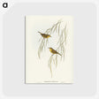 3-13_John-Gould_postcard