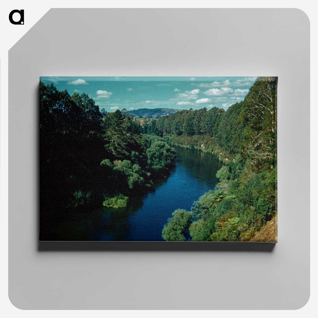 3-13_Leslie-Adkin_canvas