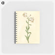 3-13_Maria-Sibylla-Merian_memo