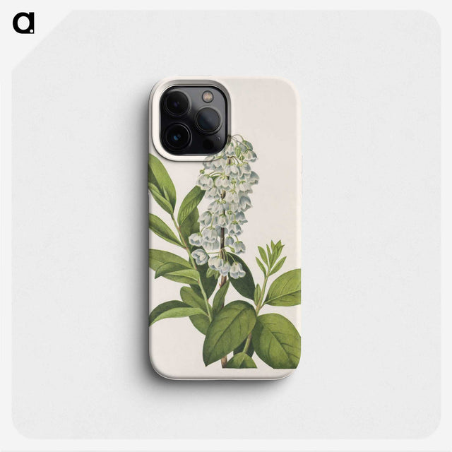 3-13_Mary-Vaux-Walcott_phone