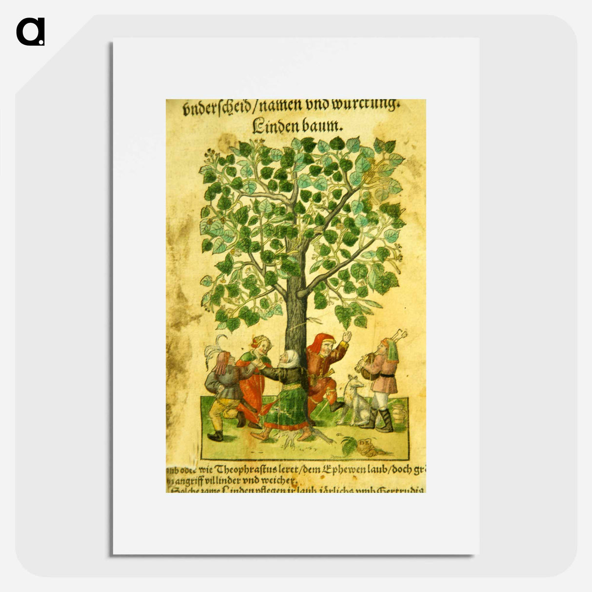 アートポスター-Images from the History of Medicine
 - 国立医学図書館 Poster.