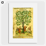 アートポスター-Images from the History of Medicine
 - 国立医学図書館 Poster.