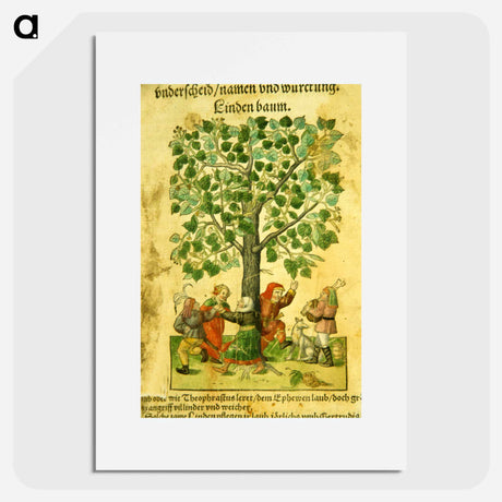 アートポスター-Images from the History of Medicine
 - 国立医学図書館 Poster.