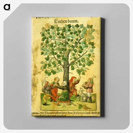 3-13_National-Library-of-Medicine_canvas