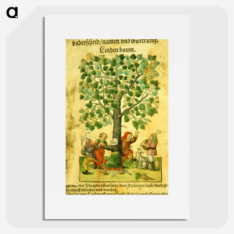 3-13_National-Library-of-Medicine_picture