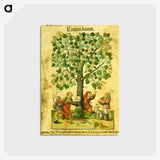 3-13_National-Library-of-Medicine_postcard
