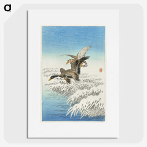 3-13_Ohara-Koson_picture