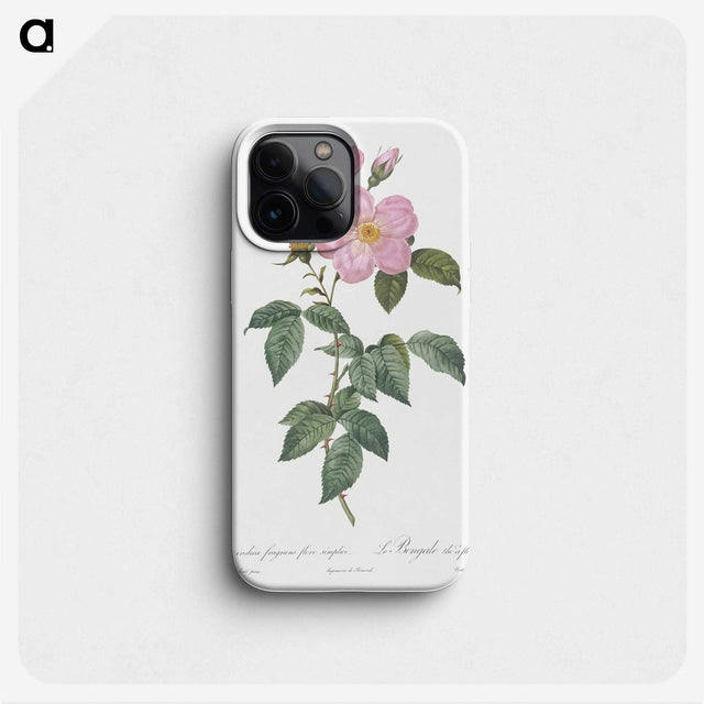 3-13_Pierre-Joseph-Redoute_phone