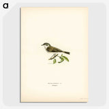 3-13_Svenska-Faglar_picture-crop