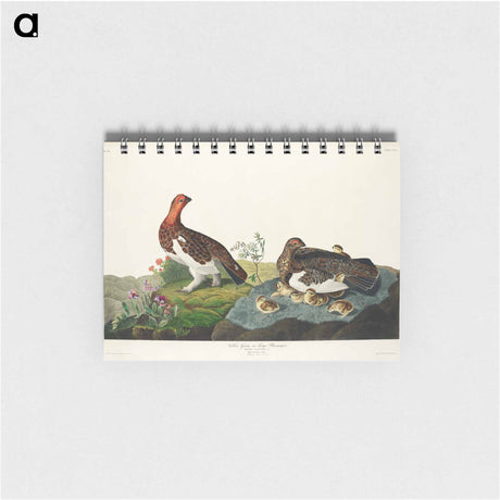 アートメモ帳-Willow Grouse, or Large Ptarmigan from Birds of America
 - アメリカの鳥たち Memo.